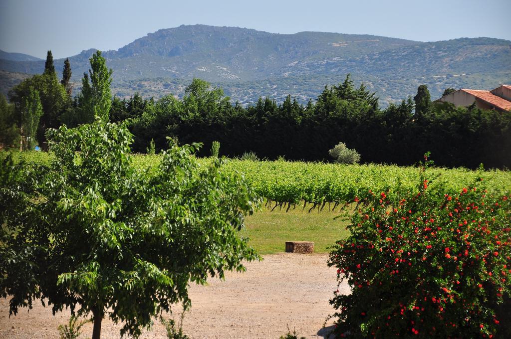 Chateau De Jonquieres - Herault Bagian luar foto